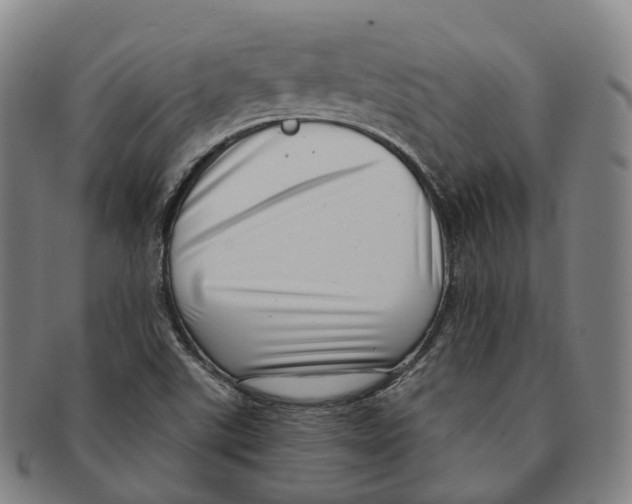 X0000091001507200708301323