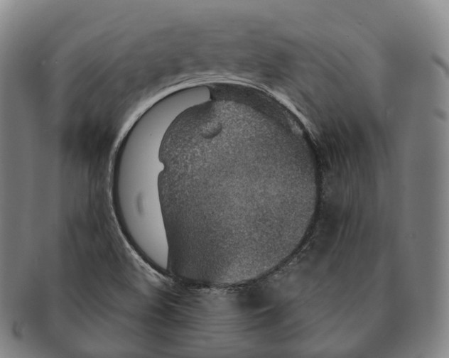 X0000091001508200708301323