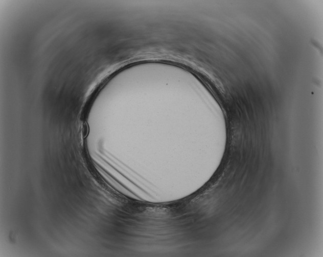 X0000091001509200708301323