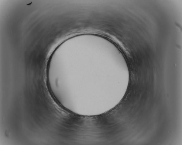 X0000091001512200708301323