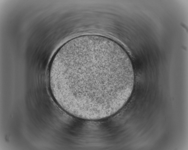 X0000091001514200708301323