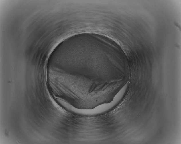 X0000091001515200708301323