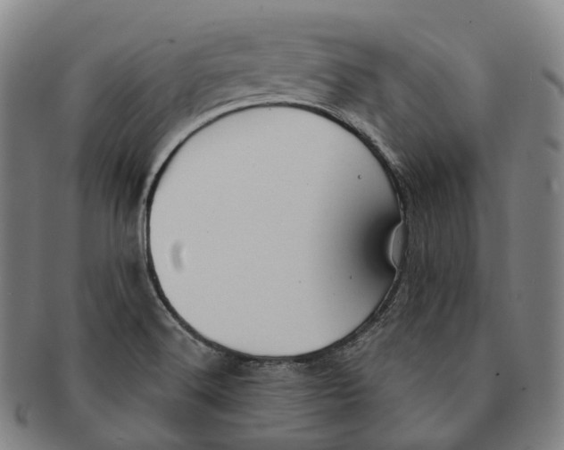 X0000091001516200708301323