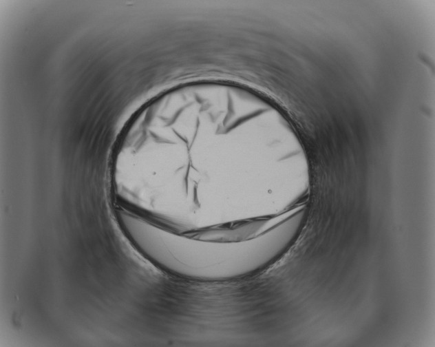 X0000091001518200708301323