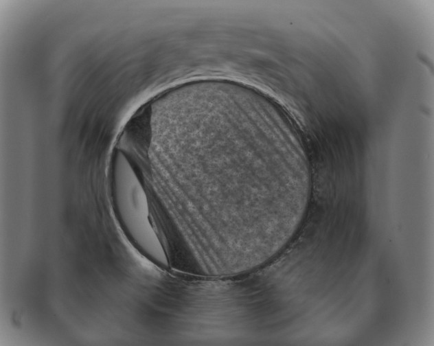 X0000091001519200708301323