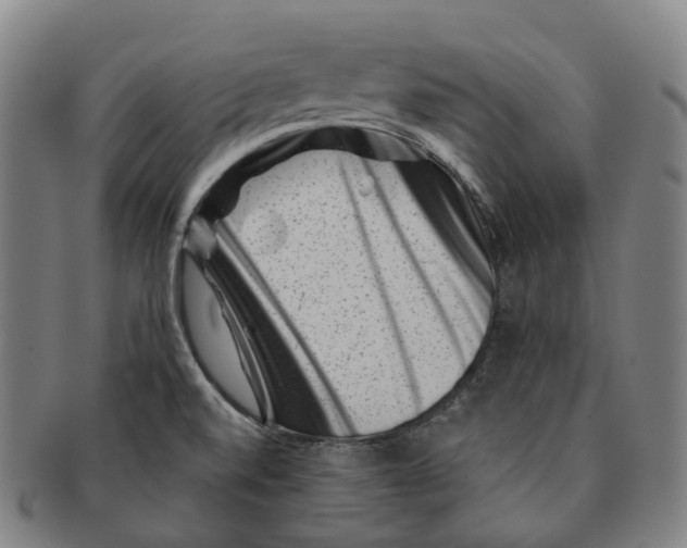 X0000091001520200708301323