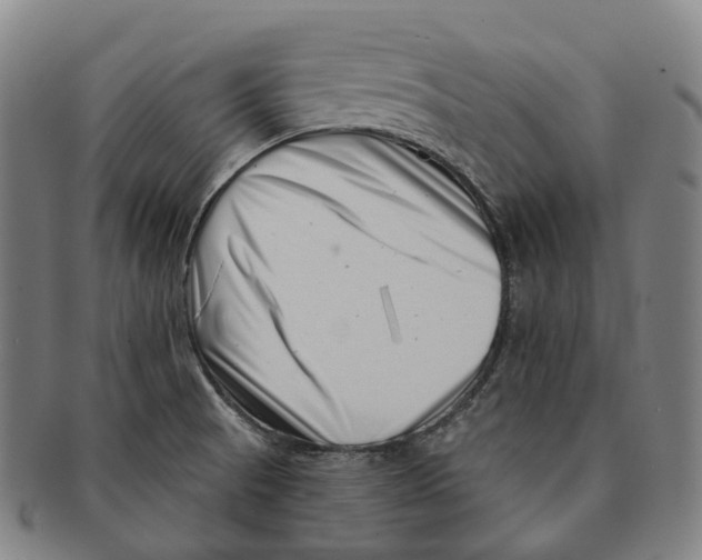 X0000091001521200708301323