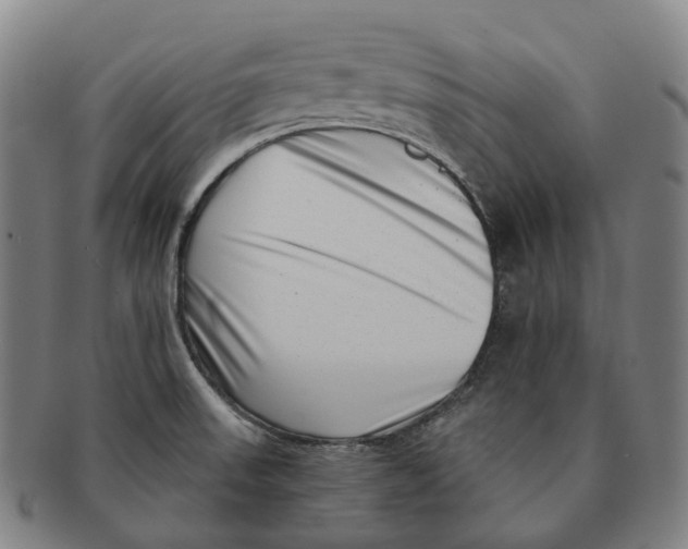 X0000091001523200708301323