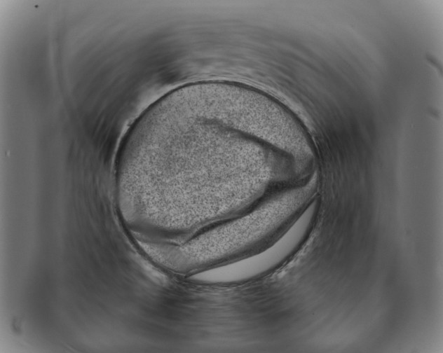 X0000091001525200708301323