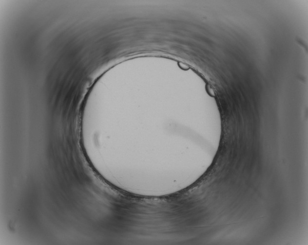 X0000091001526200708301323