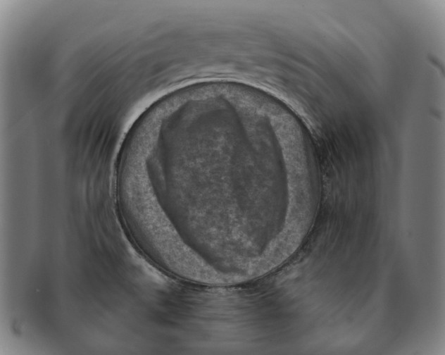 X0000091001527200708301323