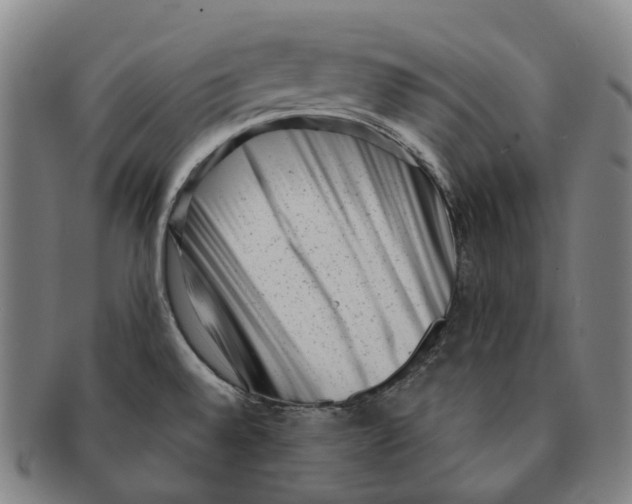 X0000091001528200708301323