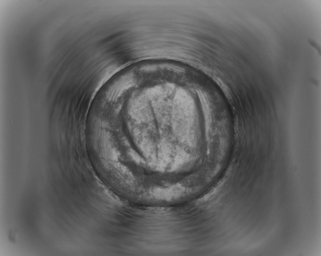 X0000091001529200708301323