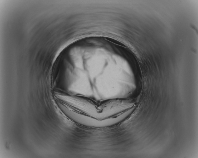 X0000091001530200708301323