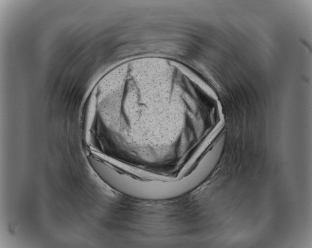 X0000091001532200708301323