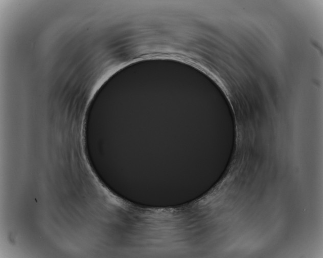 X0000091001533200708301323