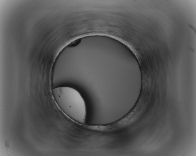 X0000091001534200708301323