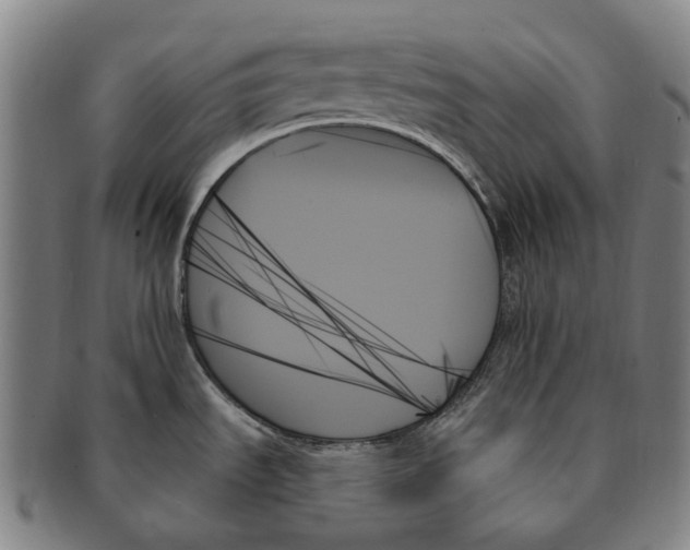 X0000091001535200708301323