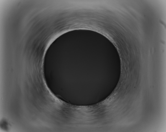 X0000091001536200708301323