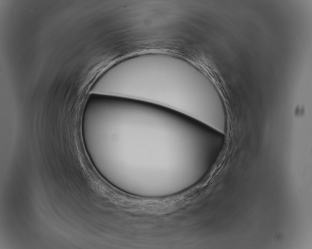 X0000091010001200708021416