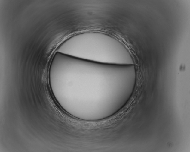 X0000091010002200708021416