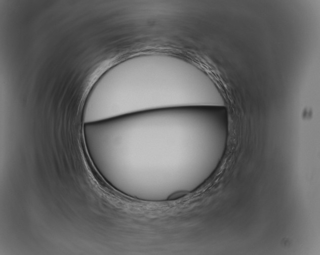 X0000091010003200708021416