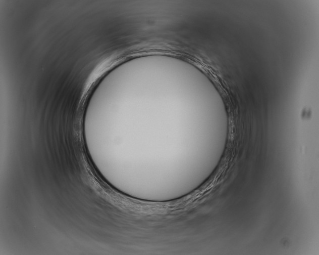 X0000091010004200708021416