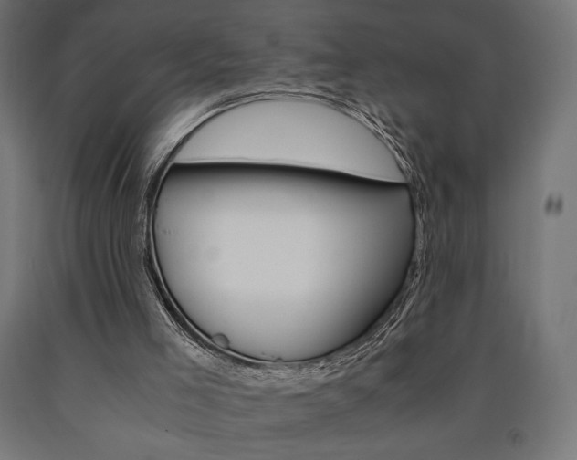 X0000091010005200708021416
