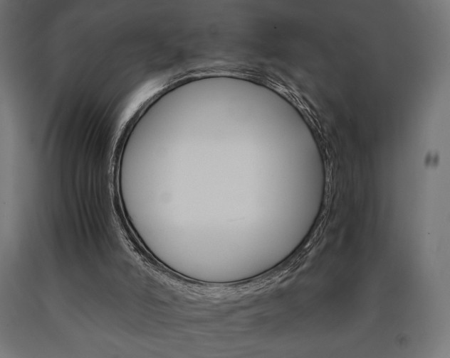 X0000091010006200708021416