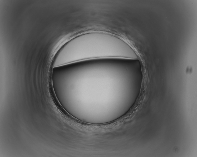 X0000091010007200708021416