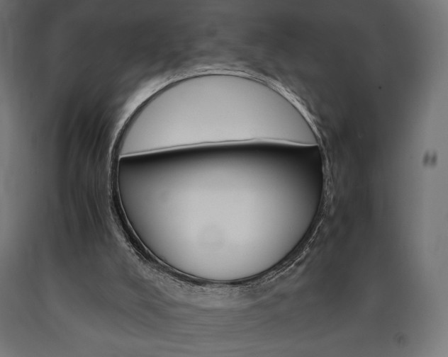 X0000091010008200708021416