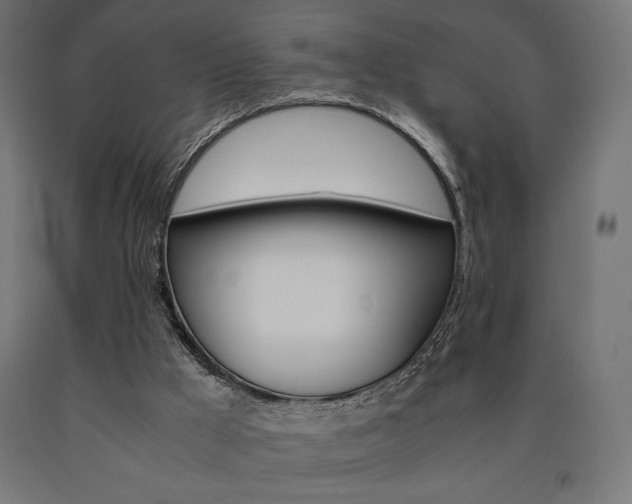 X0000091010009200708021416