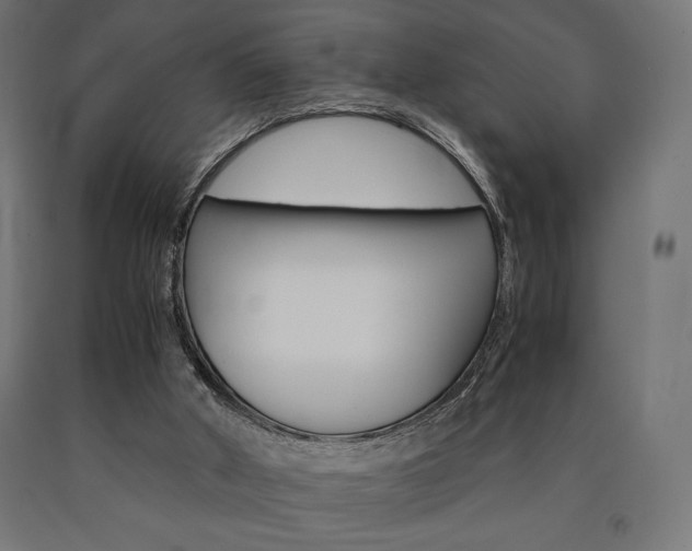X0000091010010200708021416