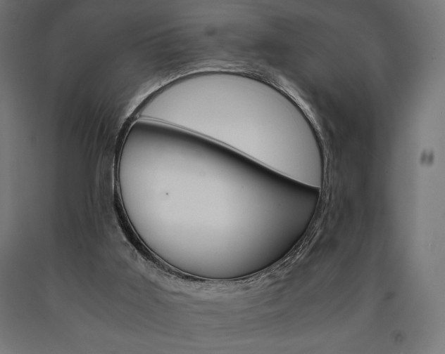 X0000091010011200708021416