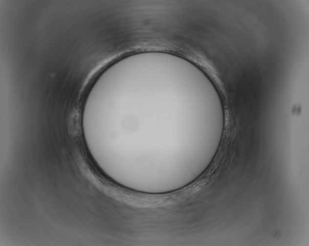 X0000091010012200708021416