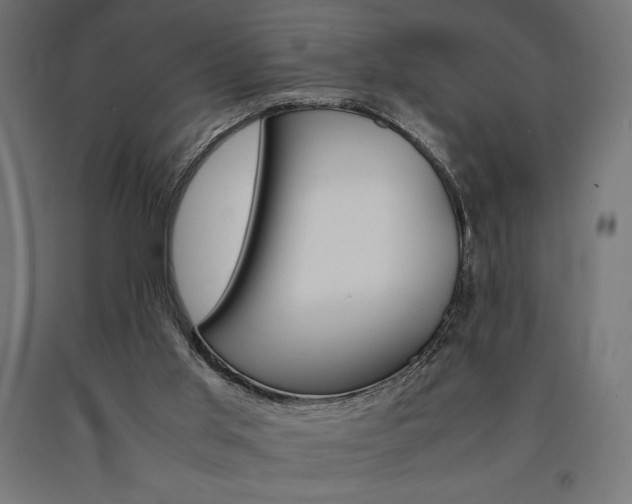 X0000091010013200708021416