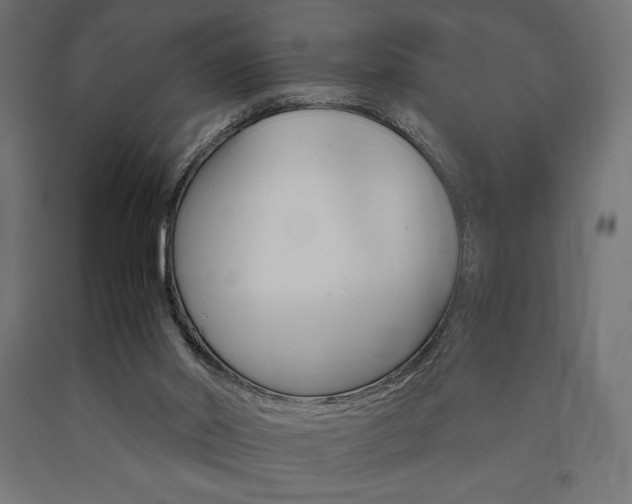 X0000091010014200708021416