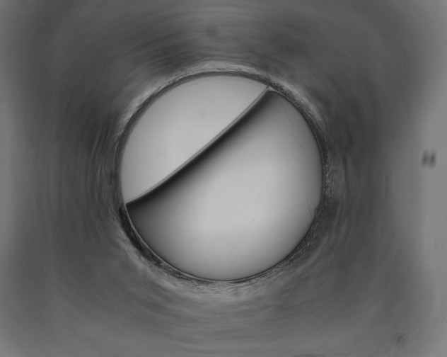 X0000091010015200708021416