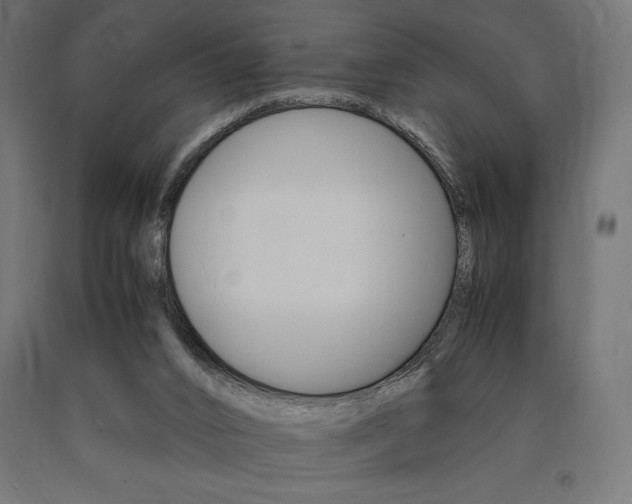 X0000091010016200708021416