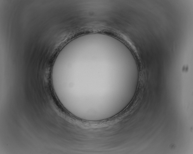 X0000091010018200708021416