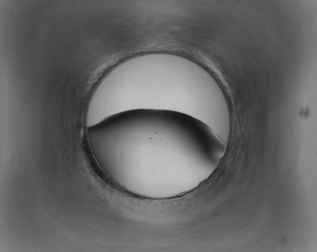 X0000091010019200708021416