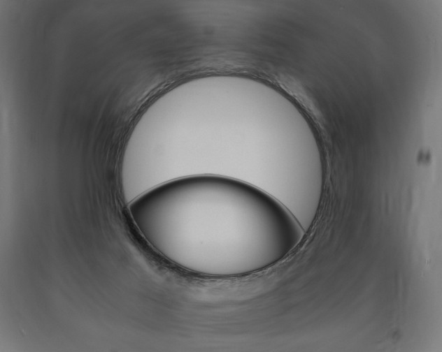X0000091010021200708021416