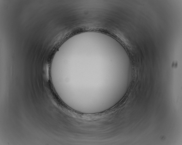 X0000091010022200708021416
