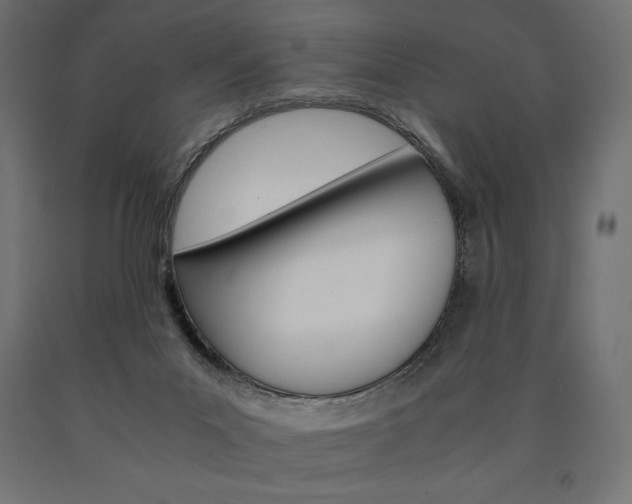 X0000091010023200708021416
