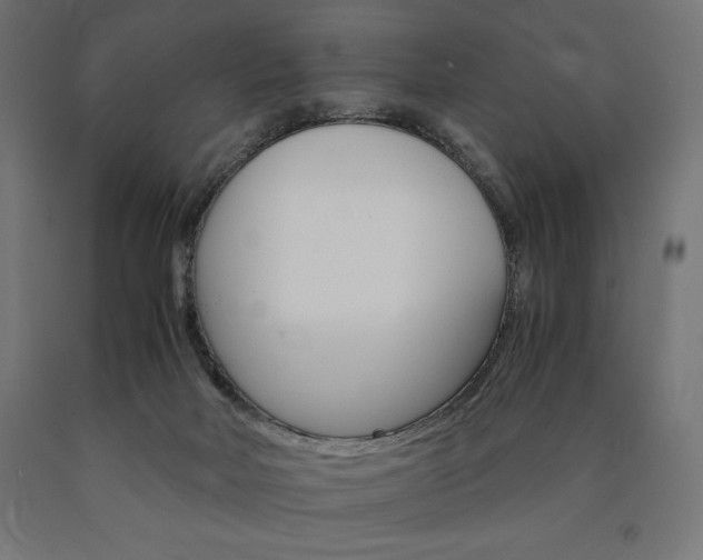 X0000091010026200708021416