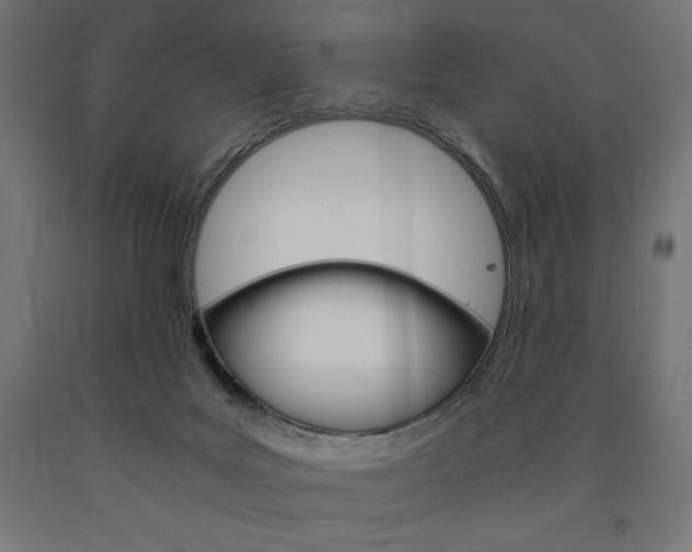 X0000091010027200708021416