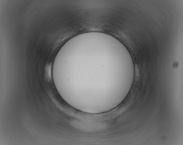 X0000091010028200708021416