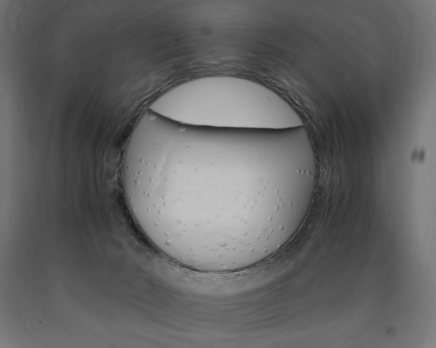X0000091010030200708021416