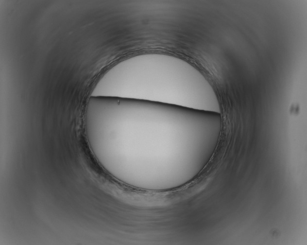 X0000091010032200708021416