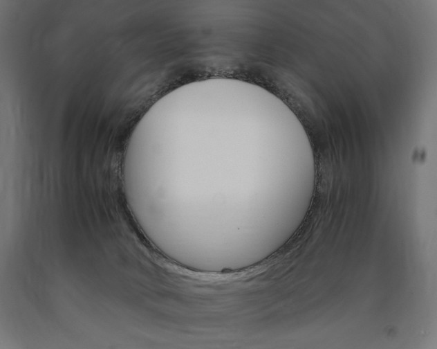 X0000091010034200708021416